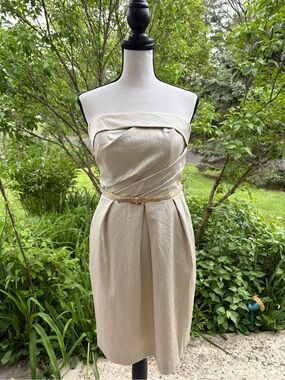 David's Bridal | Dresses | Davids Bridal Strapless Chiffon W Layered Skirt 